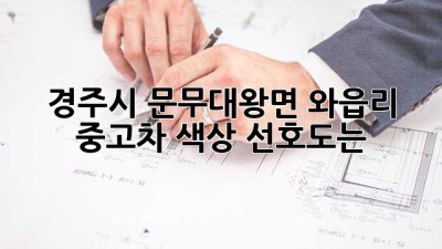 경주시 문무대왕면 와읍리 중고차 색상 선호도는?