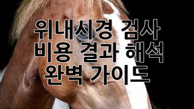 위내시경 검사 비용, 결과 해석 완벽 가이드